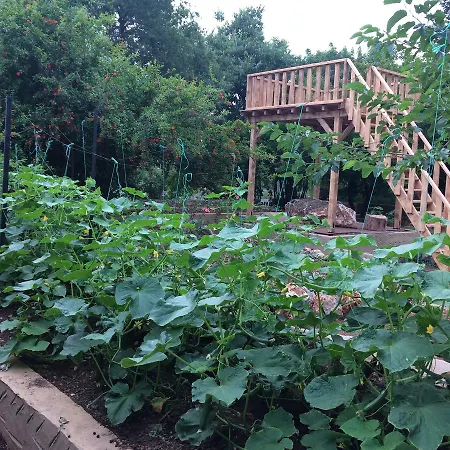 Your Garden And House In Kaya Village * Kayakoy